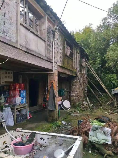 最新塌房爆料,塌房事件频发，明星形象再受冲击